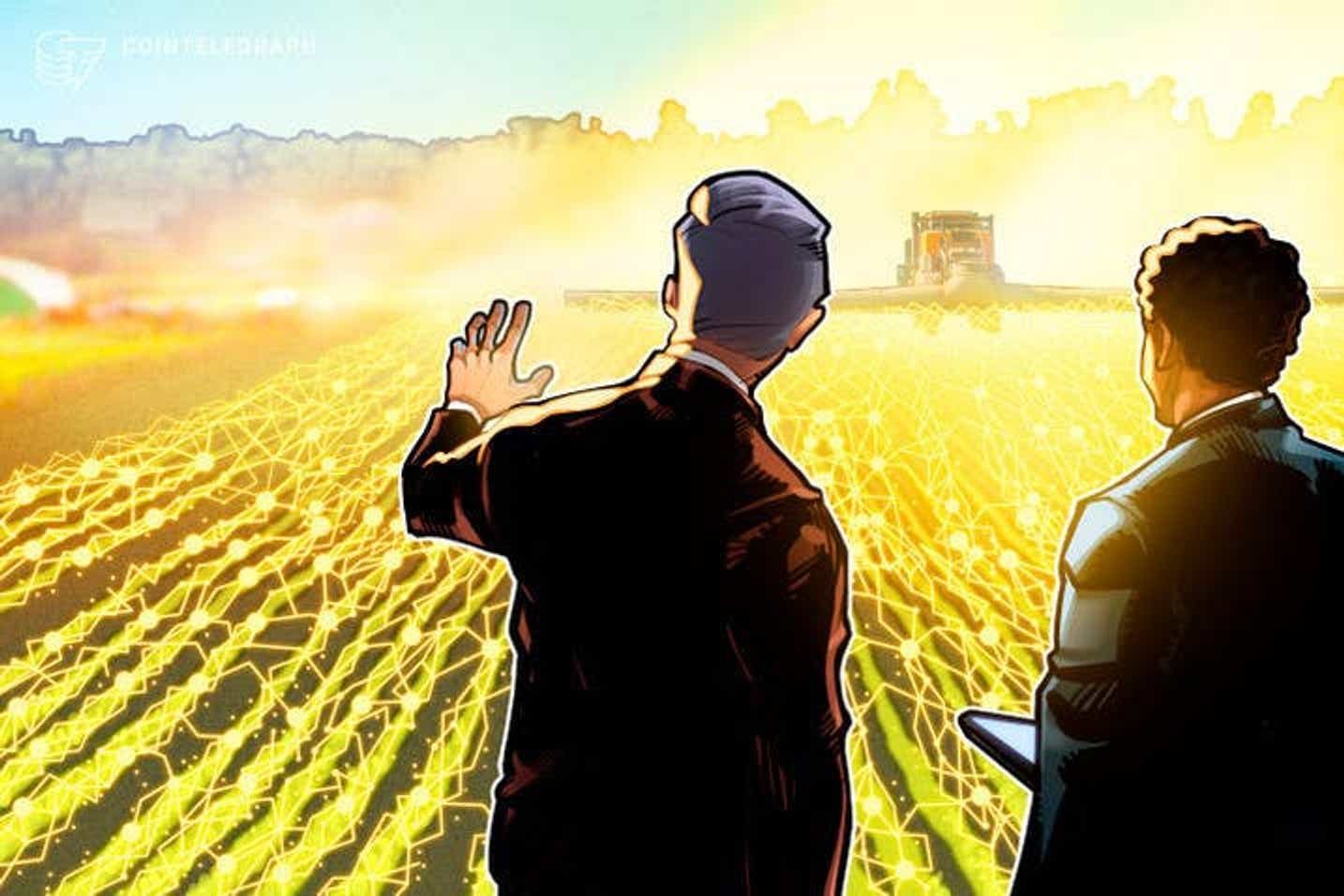  Cultecoin introduz produtores rurais ao universo das criptomoedas e distribui R$ 140 mil em tokens de graça 