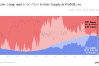  'Fear' returns to Bitcoin while long-term holders own just 3% of BTC unrealized losses 