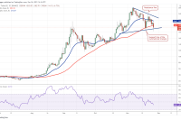  Price analysis 11/26: BTC, ETH, BNB, SOL, ADA, XRP, DOT, DOGE, AVAX, SHIB 