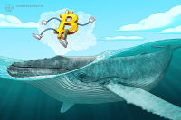  ビットコインの暴落に警戒感も、クジラのBTC保有量は7ヶ月ぶりの高水準に 