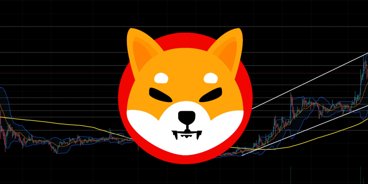 While Shiba Inu Price Explodes, These 3 Altcoins Might See 10x Gains