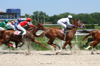 8 Best Crypto Horse Racing Betting Sites