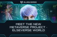 Meet The New Metaverse Project - ElseVerse World