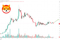Shiba Inu Price Prediction as SHIB Rises 14% From Recent Bottom, But Whales are Buying This New Altcoin – Heres Why