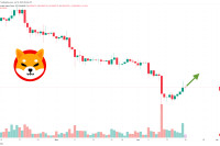Shiba Inu Price Prediction as SHIB Becomes Best Performing Coin of the Week – Can SHIB Hit $1?