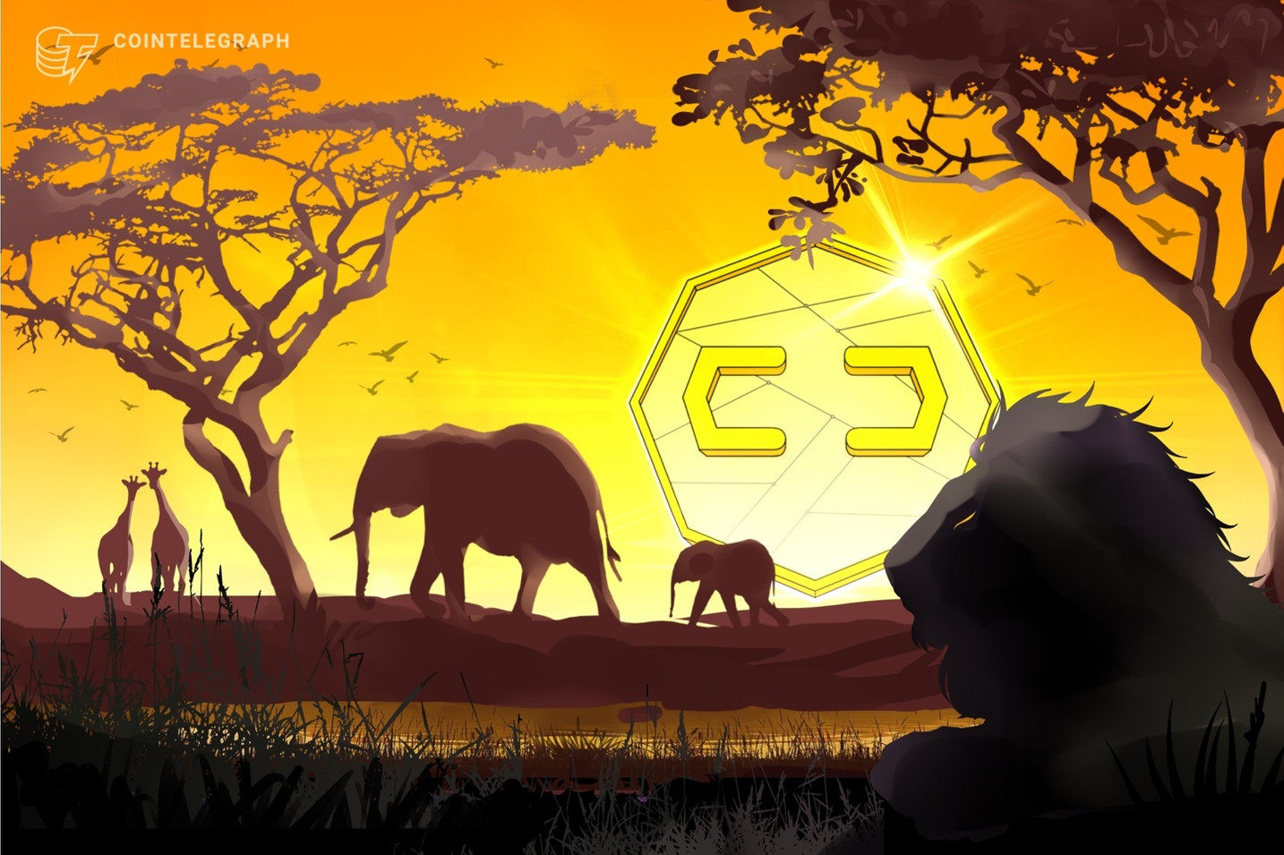 南アフリカ　2023年末までに仮想通貨事業者にライセンス取得義務付け